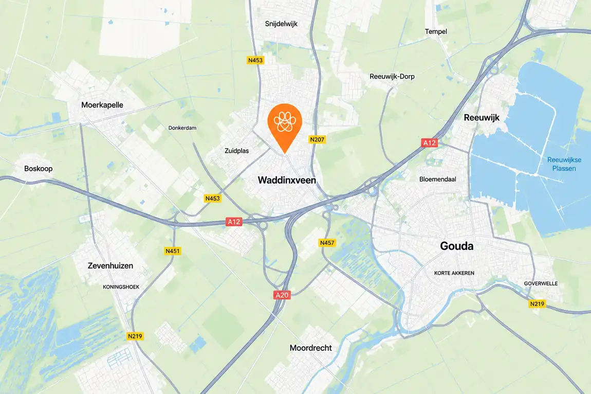 Locatie Dierenkliniek Waddinxveen op de kaart